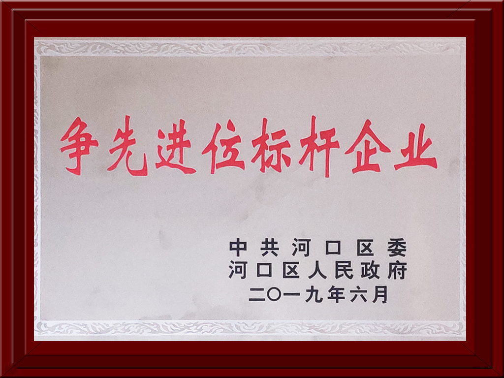 2019年河口區(qū)爭(zhēng)先進(jìn)位標(biāo)桿企業(yè)獎(jiǎng)