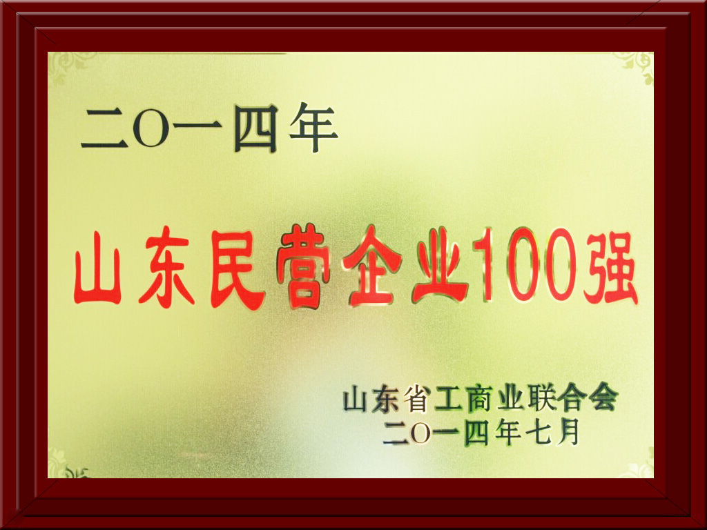 2014.07.09民營(yíng)企業(yè)100強(qiáng)