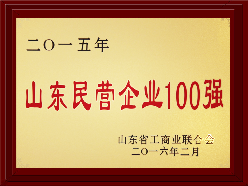 2015年度民營(yíng)企業(yè)100強(qiáng)