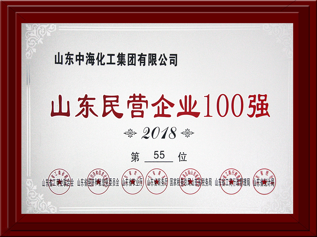 2018年山東名營(yíng)企業(yè)100強(qiáng) 