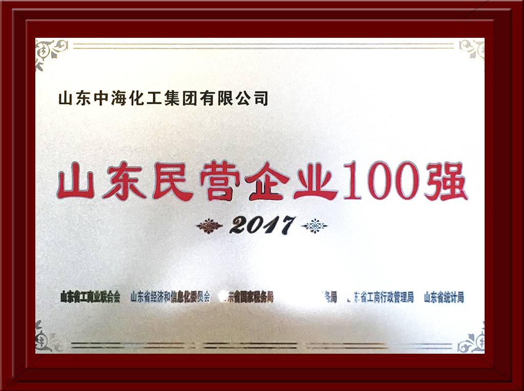 2017年民營(yíng)企業(yè)100強(qiáng)