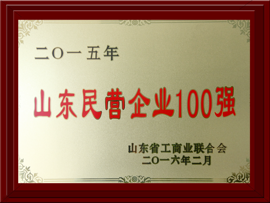 2015年民營(yíng)企業(yè)100強(qiáng)