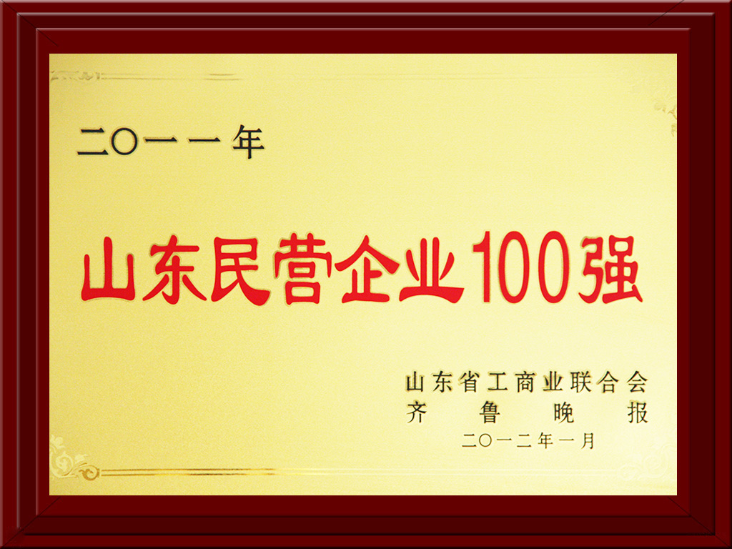 2012.01山東民營(yíng)企業(yè)100強(qiáng)