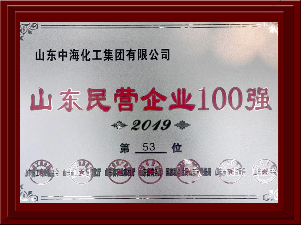 2019山東民營(yíng)企業(yè)100強(qiáng)