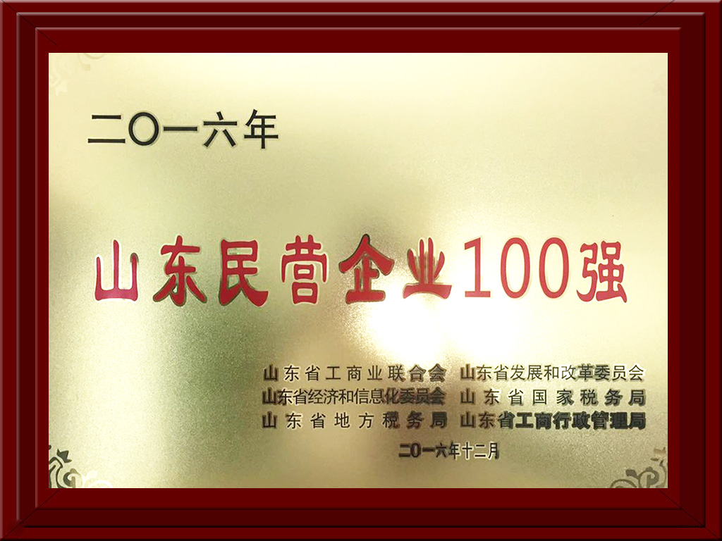 2016.12山東民營(yíng)企業(yè)100強(qiáng)